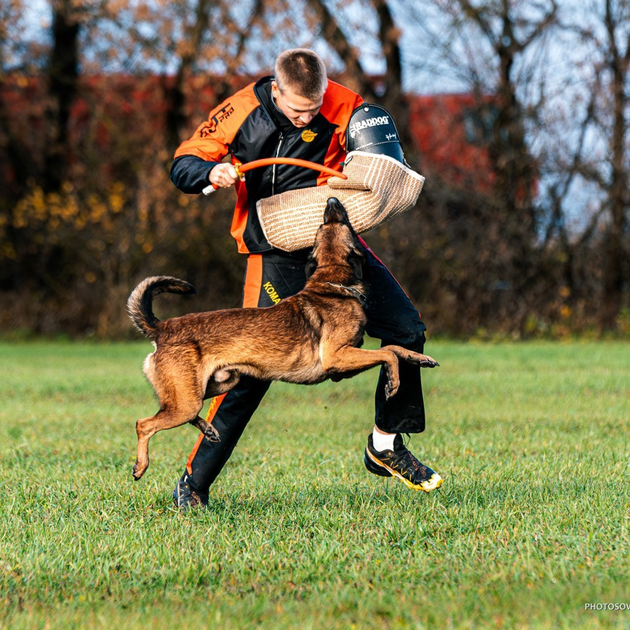 Отзывы. Фотограф-анималист, семейный фотограф в Москве и Подмосковье. Фотосъёмка кинологических дисциплин