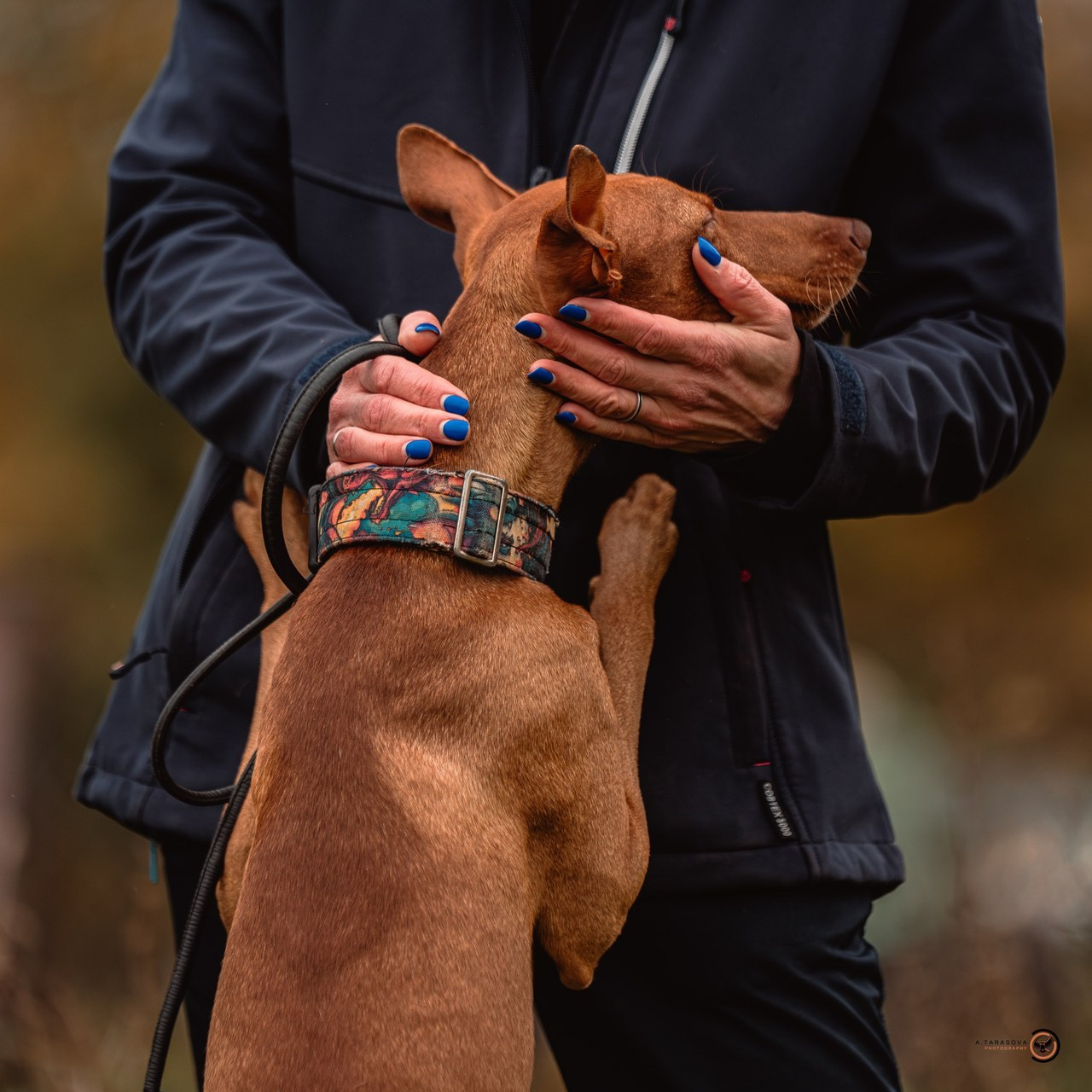 Отзывы. Фотограф-анималист, семейный фотограф в Москве и Подмосковье. Фотосъёмка кинологических дисциплин
