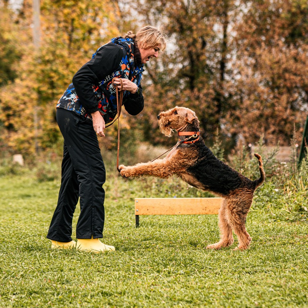Отзывы. Фотограф-анималист, семейный фотограф в Москве и Подмосковье. Фотосъёмка кинологических дисциплин