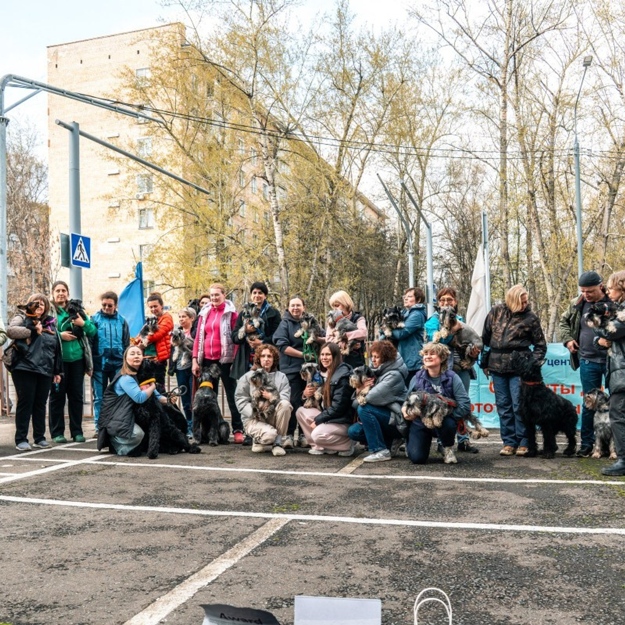 Отзывы. Фотограф-анималист, семейный фотограф в Москве и Подмосковье. Фотосъёмка кинологических дисциплин