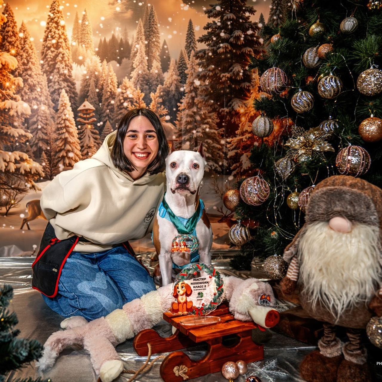 Отзывы. Фотограф-анималист, семейный фотограф в Москве и Подмосковье. Фотосъёмка кинологических дисциплин