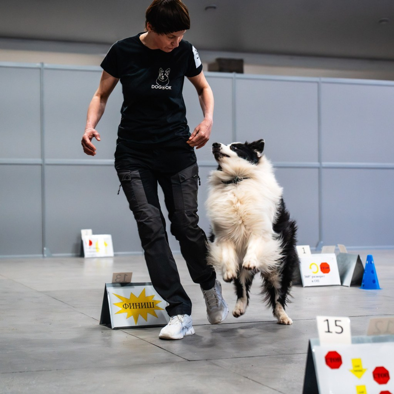 Отзывы. Фотограф-анималист, семейный фотограф в Москве и Подмосковье. Фотосъёмка кинологических дисциплин