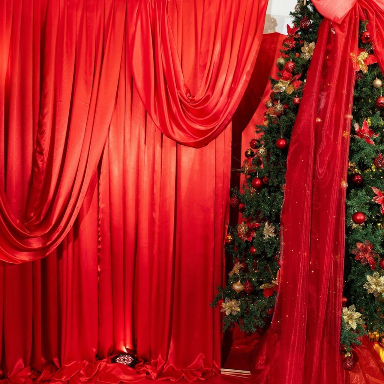 Отзывы. Свадебный и семейный фотограф в Югорске Ольга Мищенко