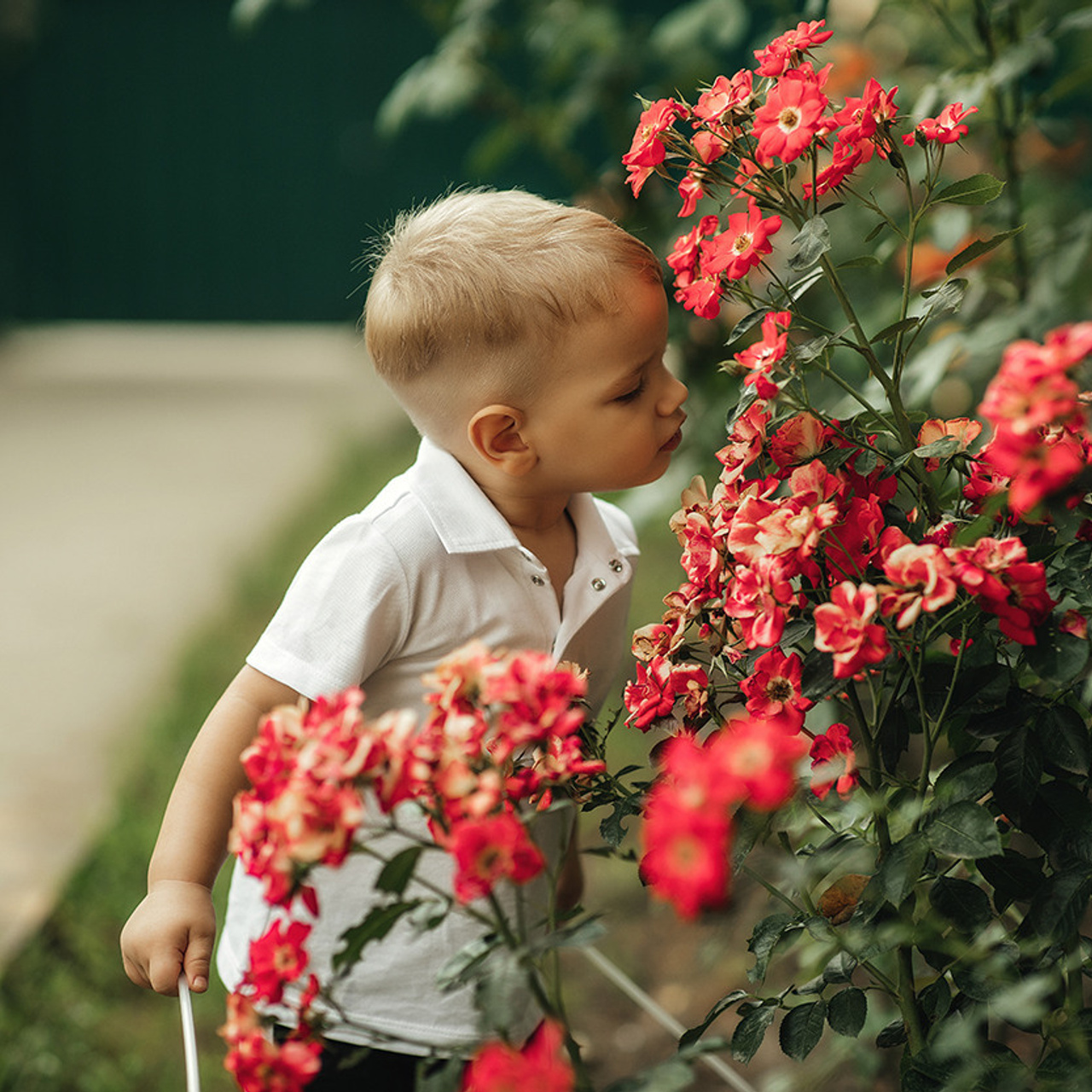 Отзывы. Свадебный/Семейный фотограф Белореченск/Майкоп/Краснодар
