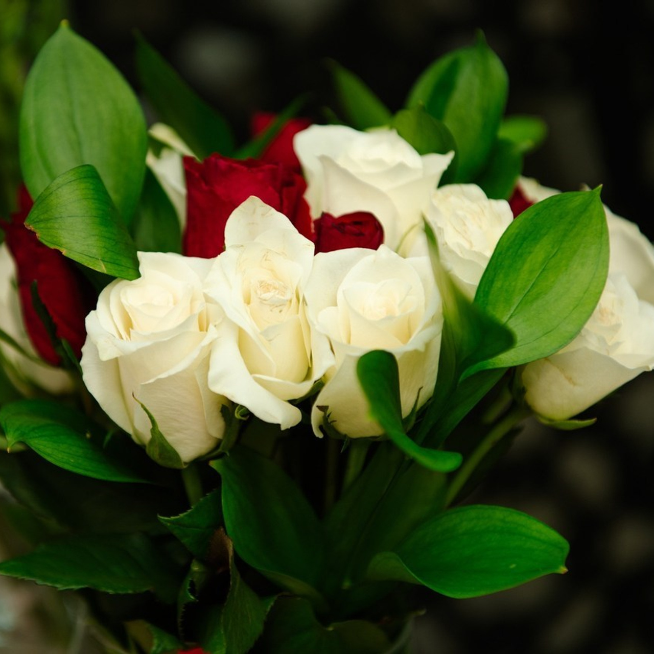 Отзывы. Фотограф в Хабаровске