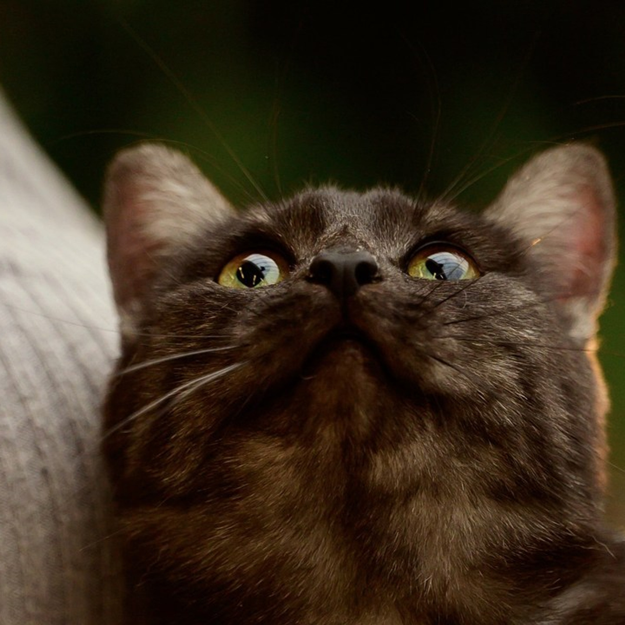 Отзывы. Мила Астахова