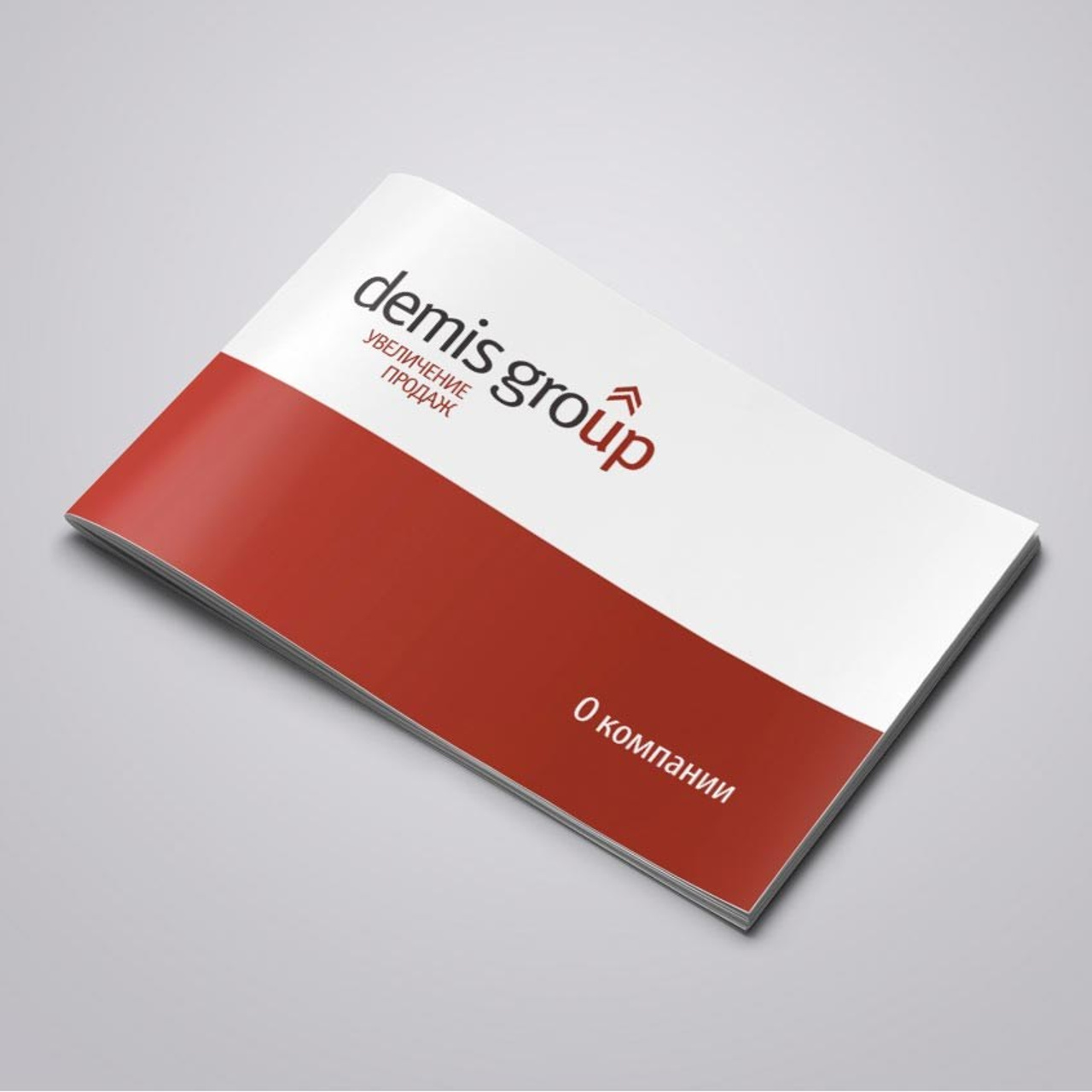 Брошюра для «Demis Group»