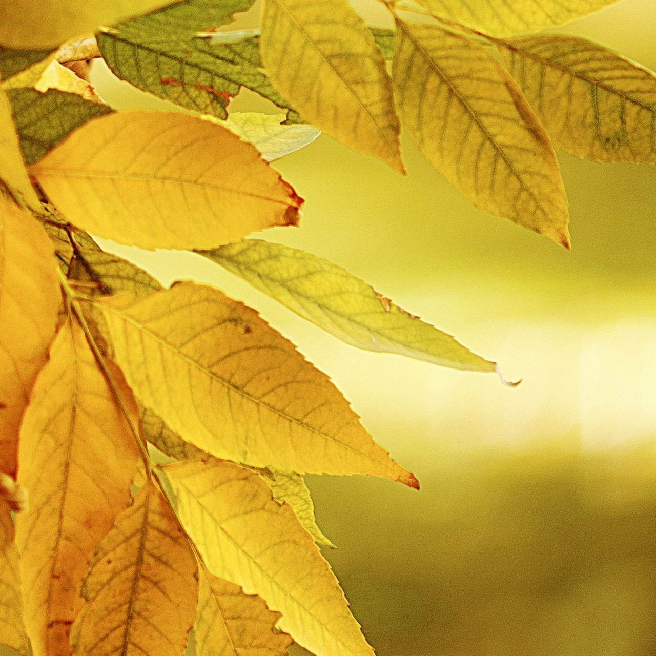 Отзывы. Галина Скибина фотограф в Астрахани