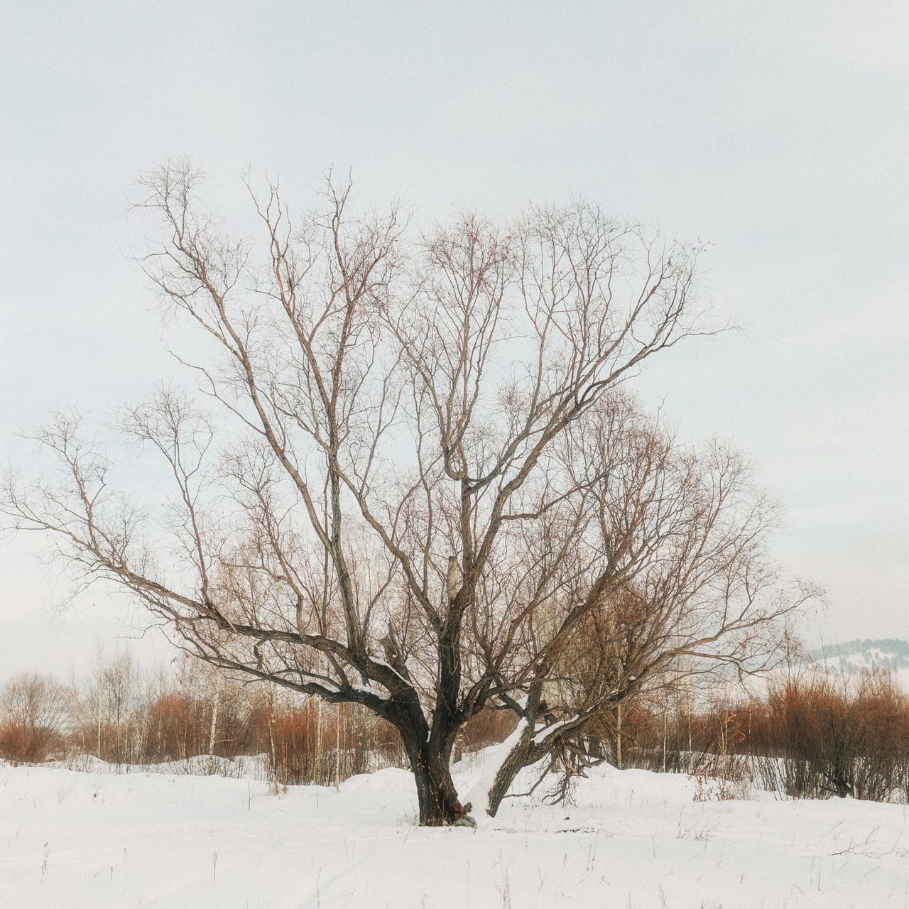 Отзывы. Фотограф в Чите Карина Власова