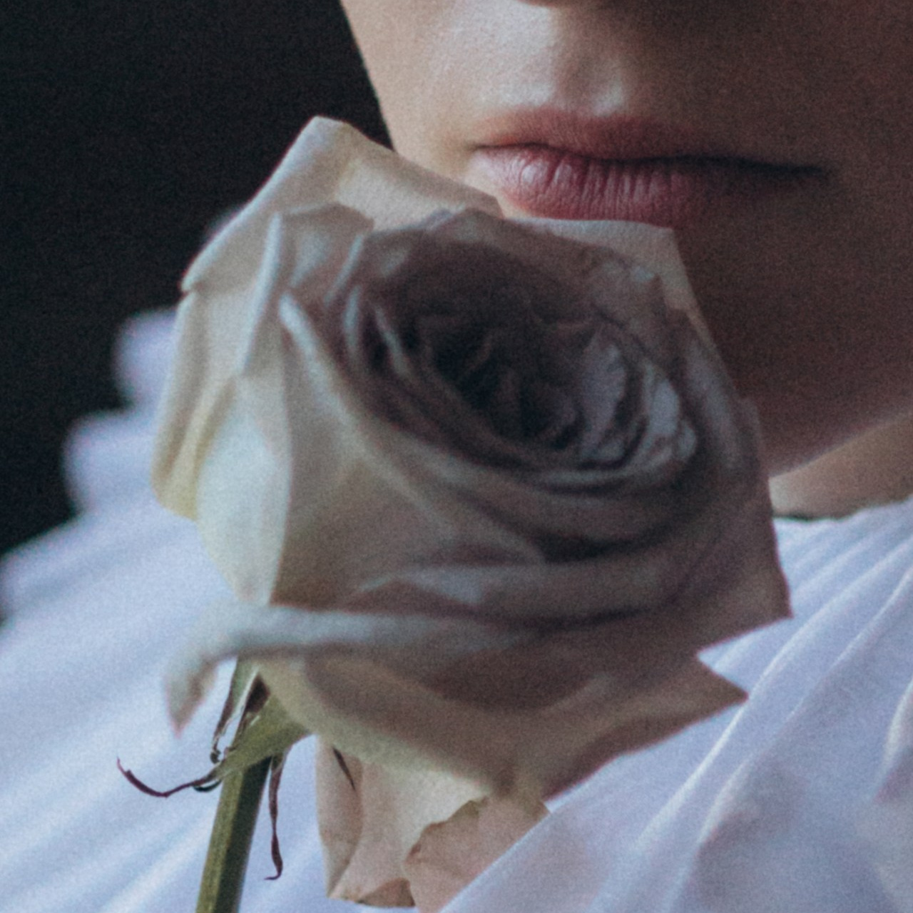 Отзывы. Юлия Пробер фотограф в Санкт-Петербурге