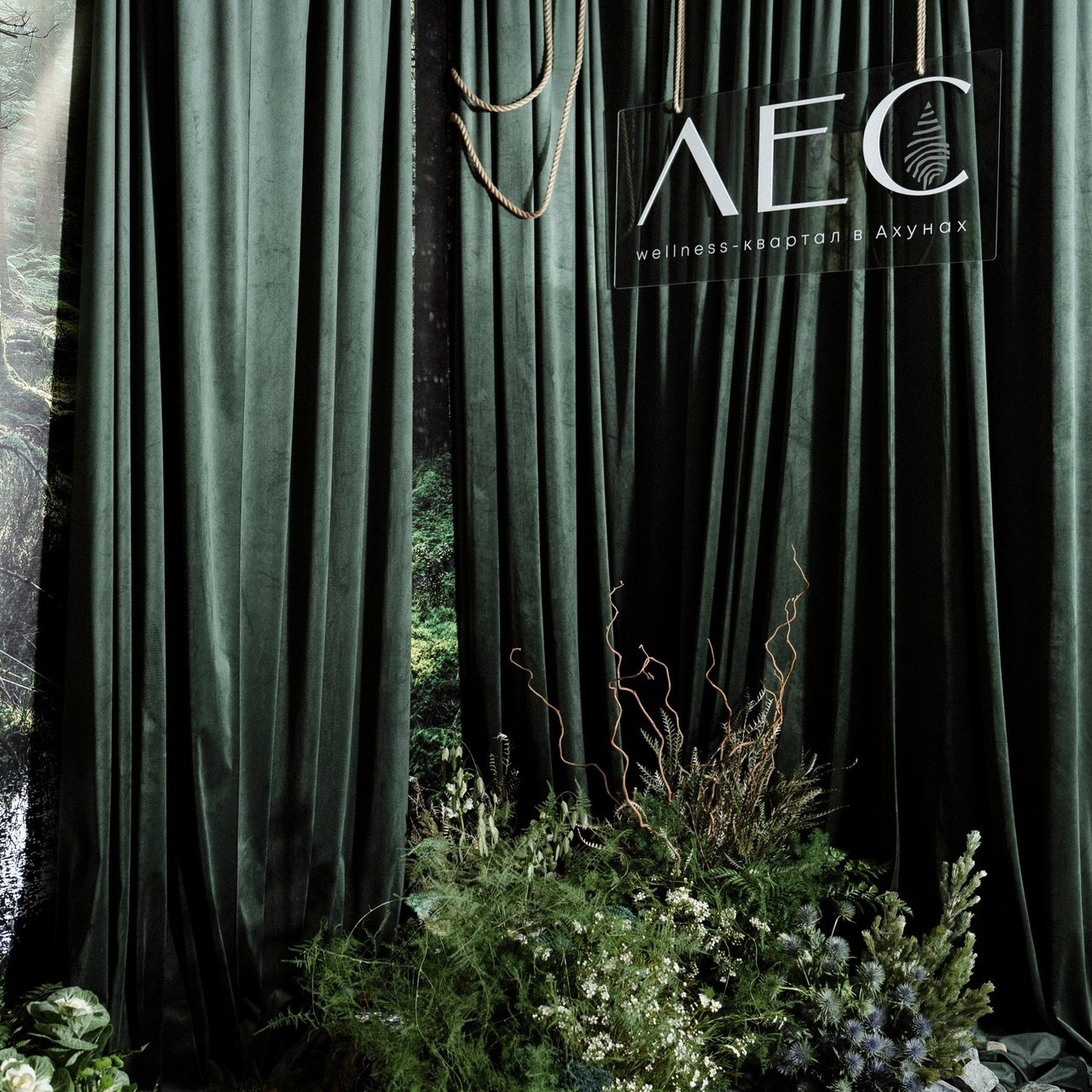 Отзывы. Юлия Тайцай фотограф, Анатолий Тайцай видеограф