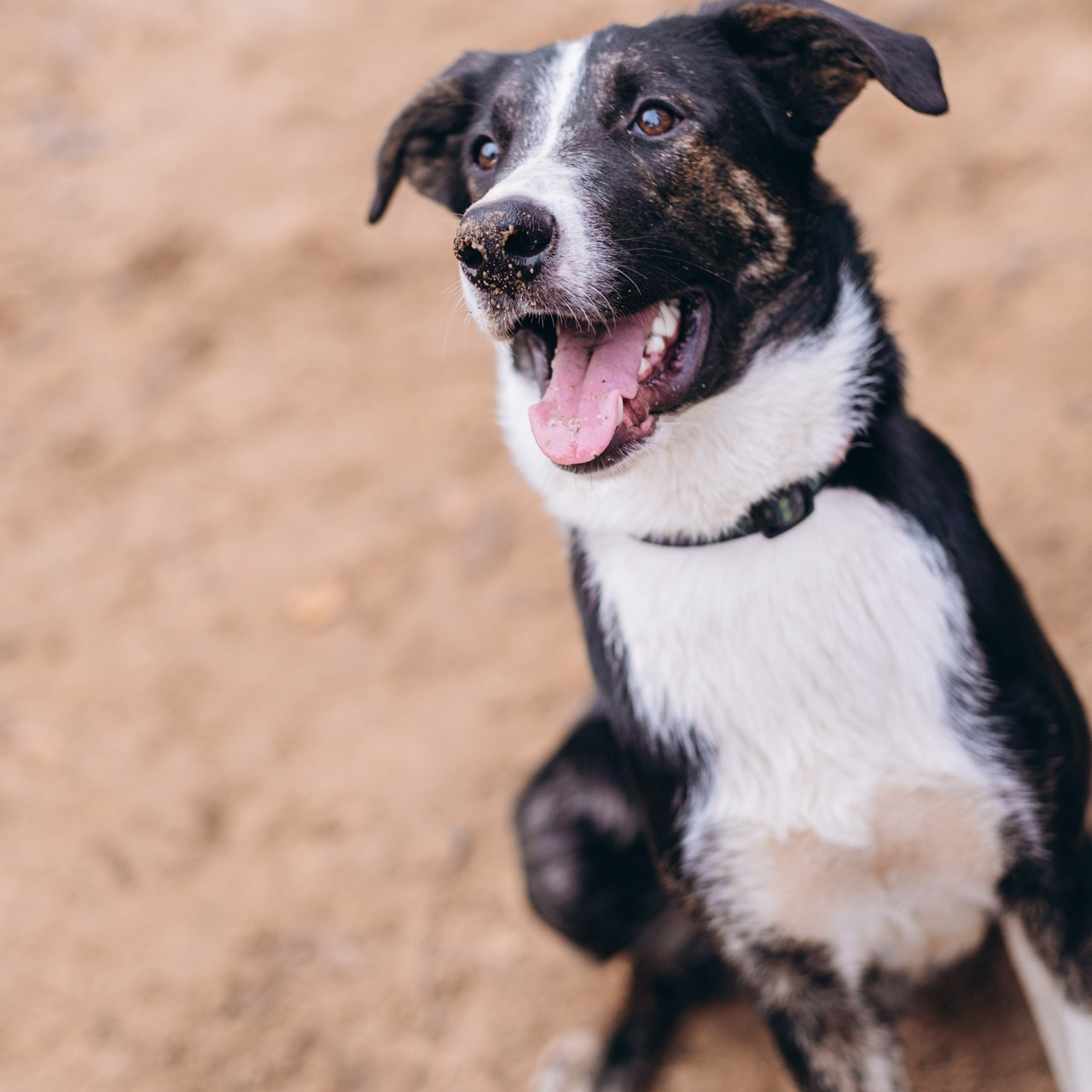Отзывы. Портретный фотограф | Валерия Кичигина