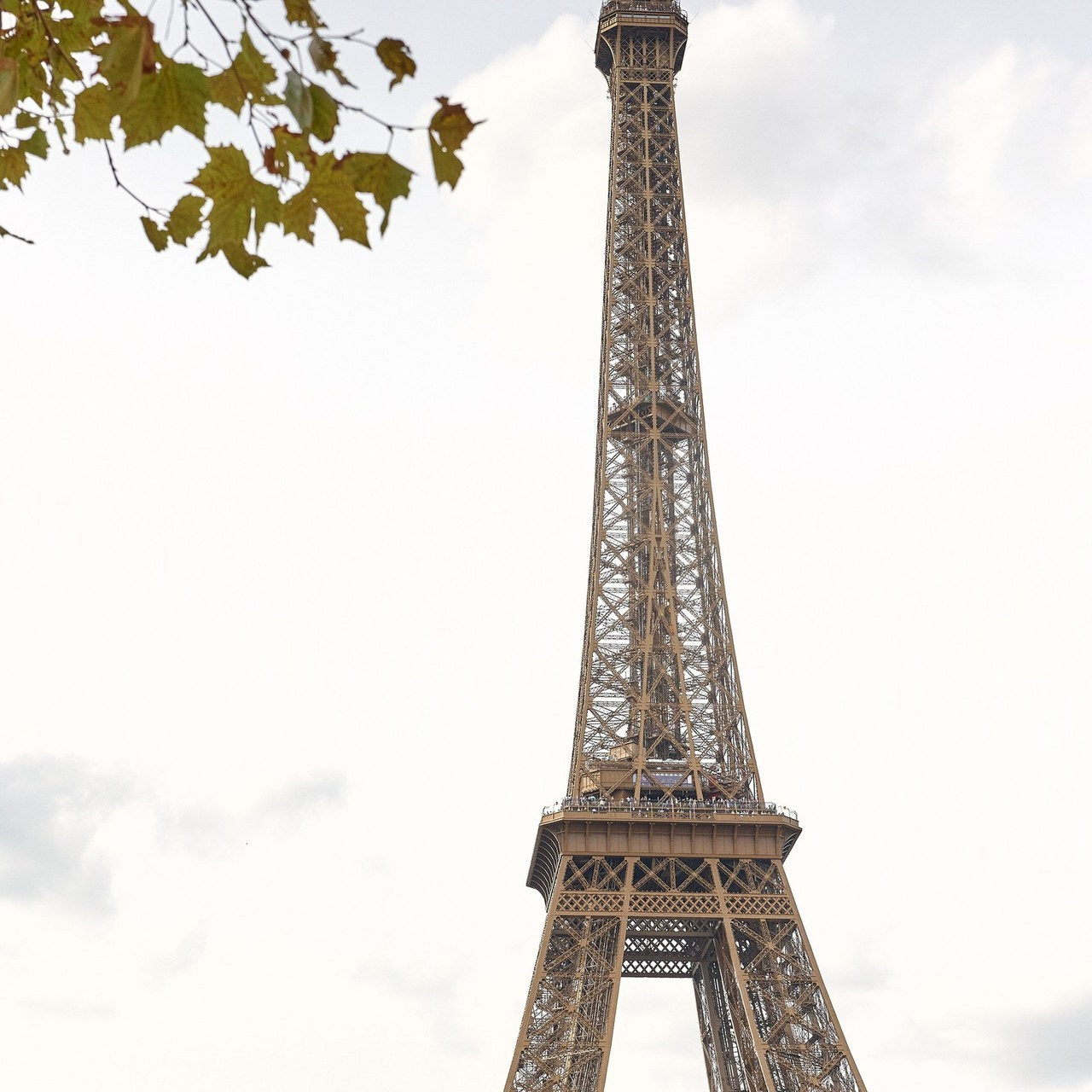 Отзывы. Фотограф для бизнеса в Москве