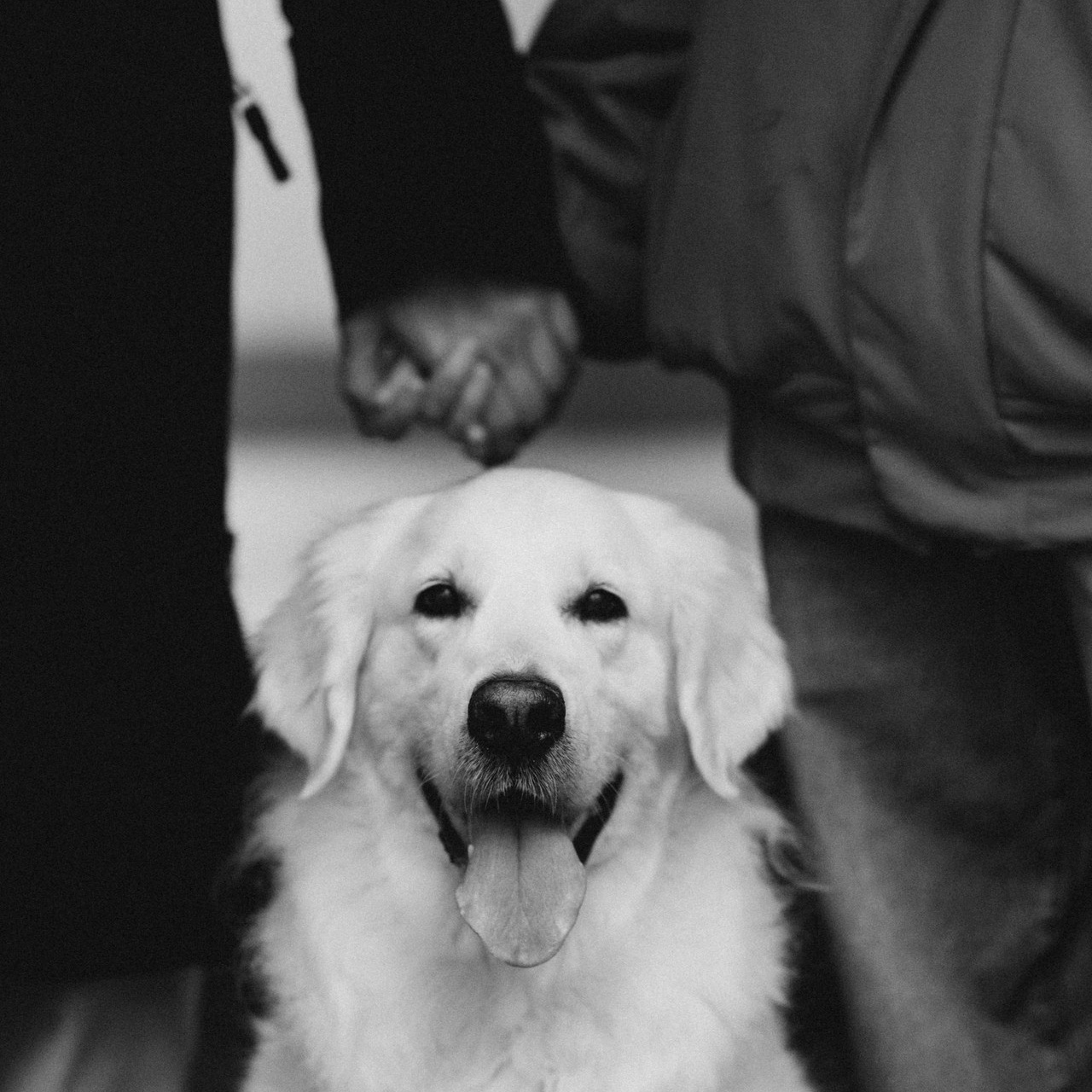 Отзывы. Фотограф в Москве Ольга Елоева