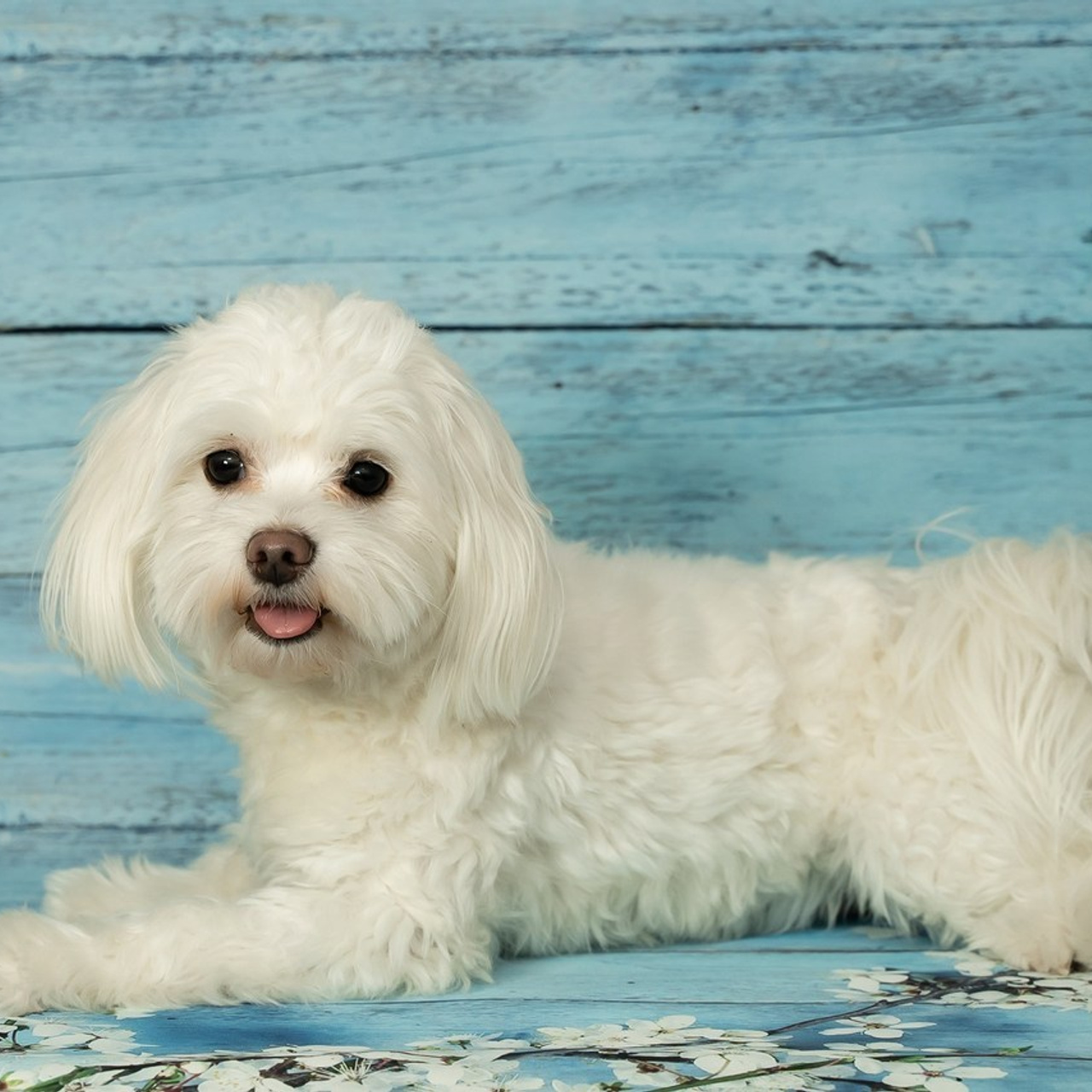 Отзывы. Детский, репортажный фотограф Нахабино, Москва. Карпова Татьяна