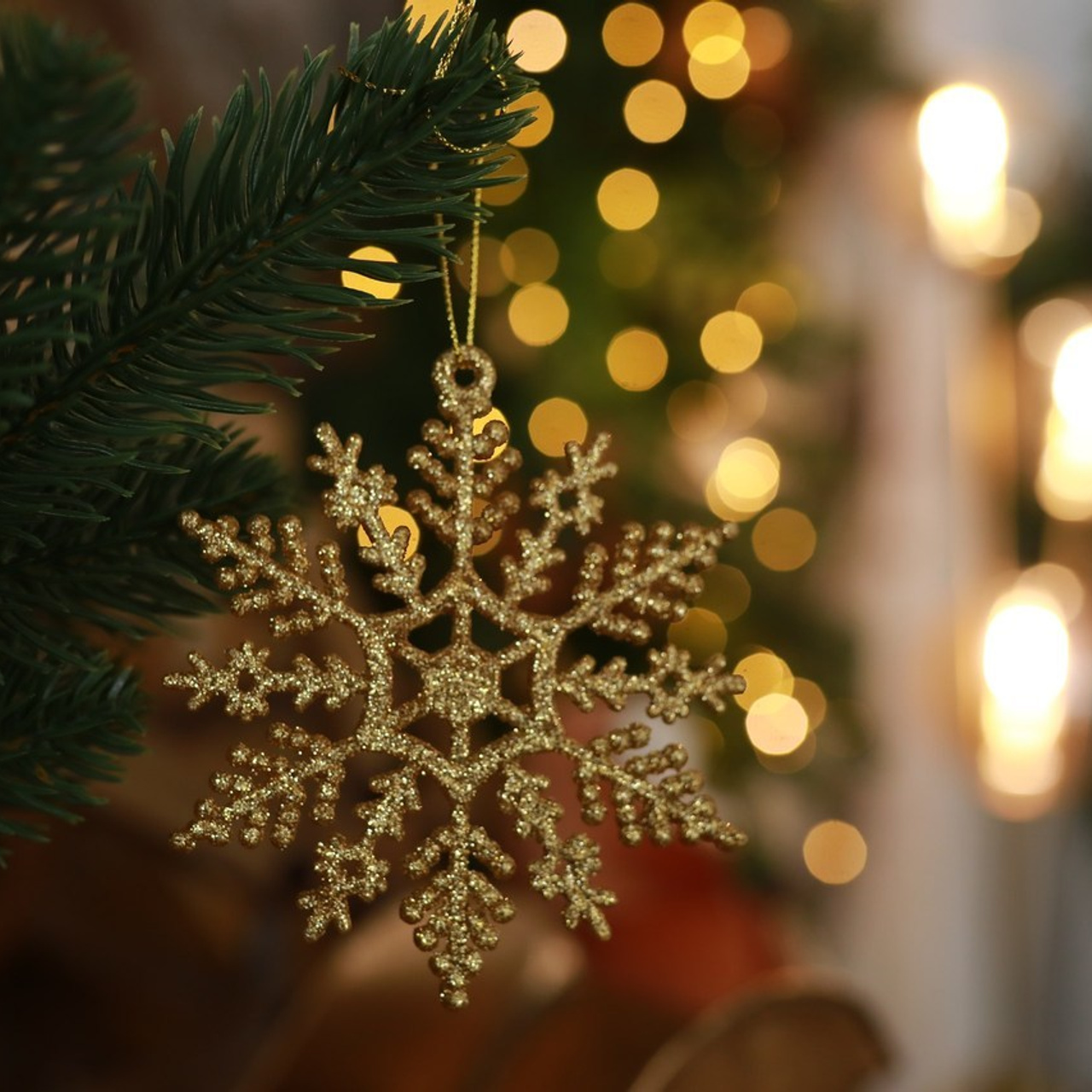 Отзывы. Семейный и детский фотограф в Москве Дорогова Екатерина