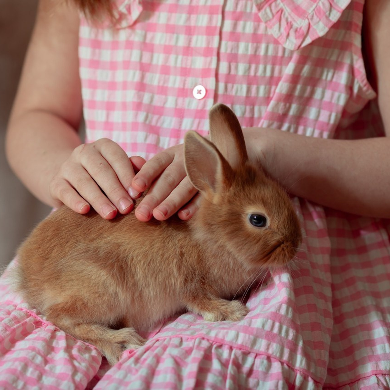 Отзывы. Семейный и детский фотограф в Москве Дорогова Екатерина