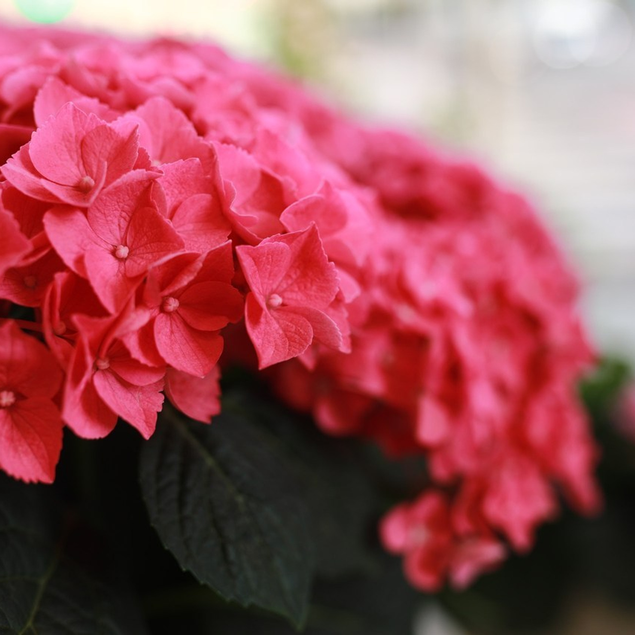 Отзывы. Семейный и детский фотограф в Москве Дорогова Екатерина