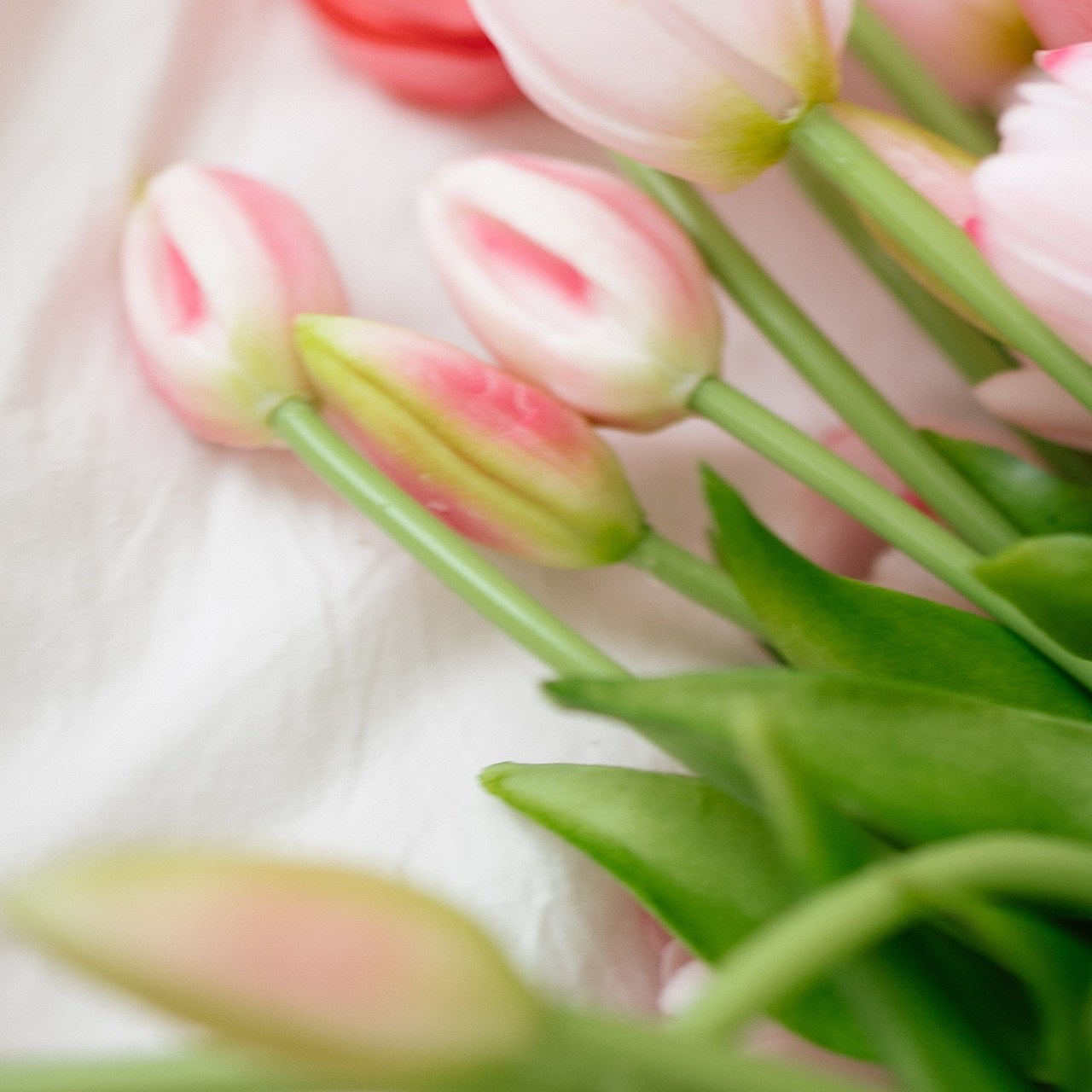 Отзывы. Семейный фотограф в г. Кунгур Шлякова Ксения