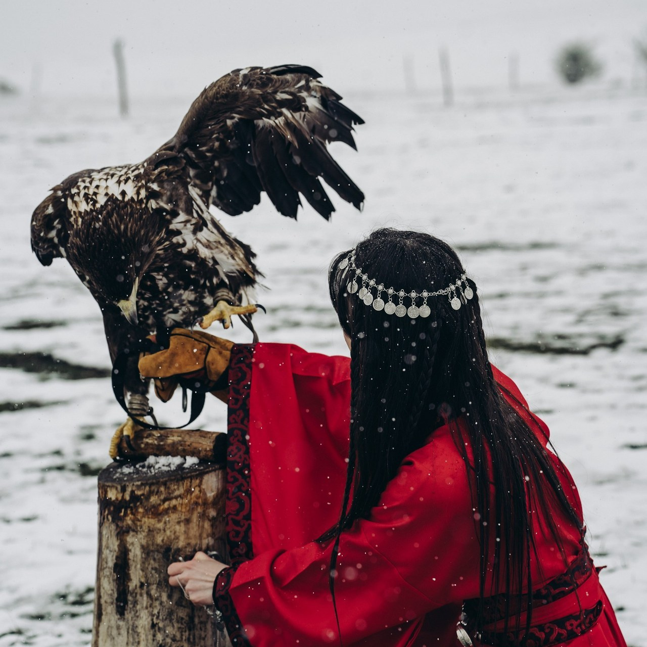 Отзывы. Фотограф Диана Семенова