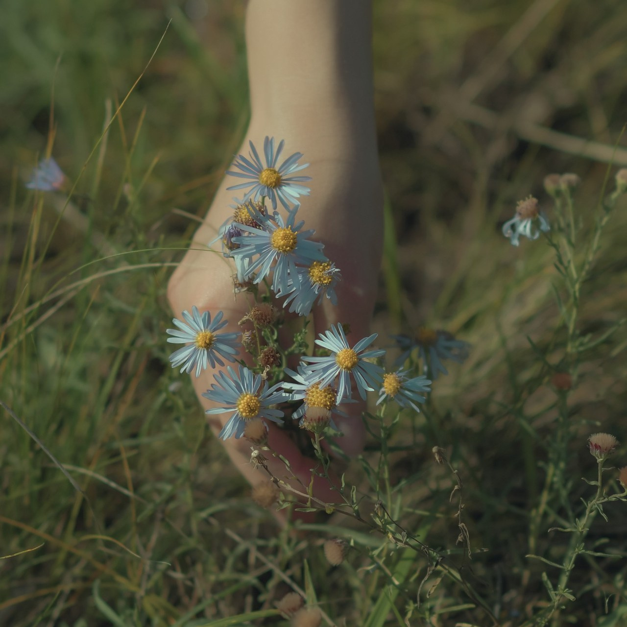 Отзывы. Фотостудия «Счастье» самая уютная и светлая студия в городе