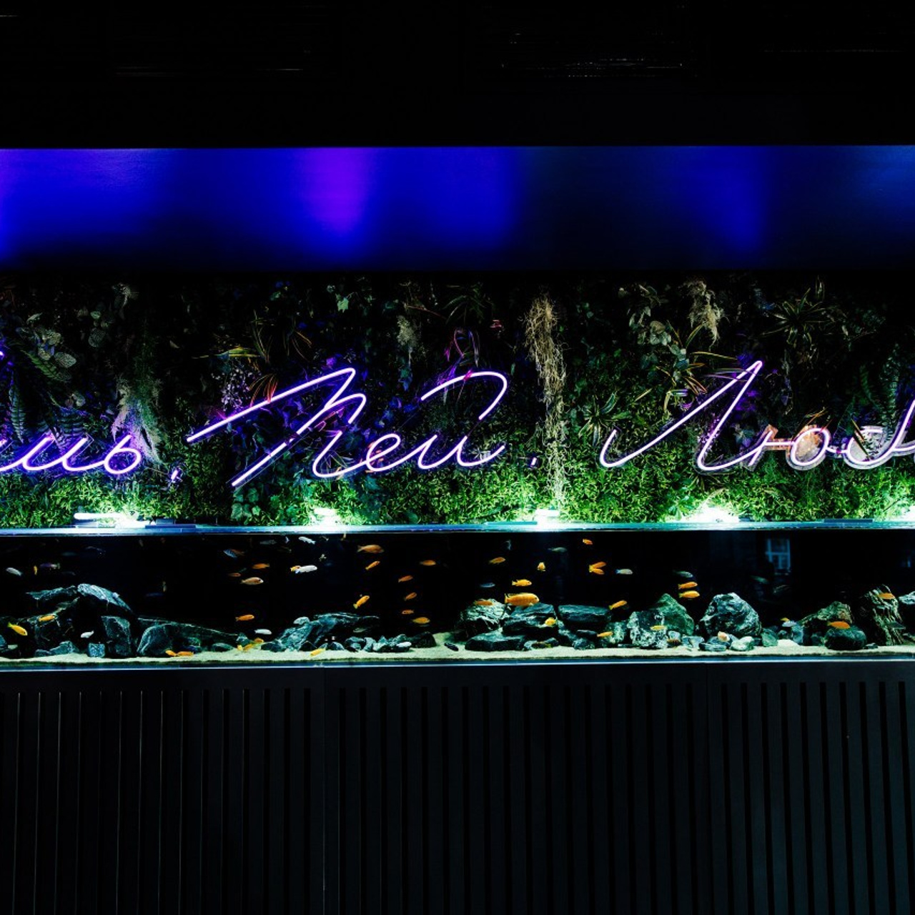 Отзывы. Свадебный и семейный фотограф Москва Рязань Елена Клюева