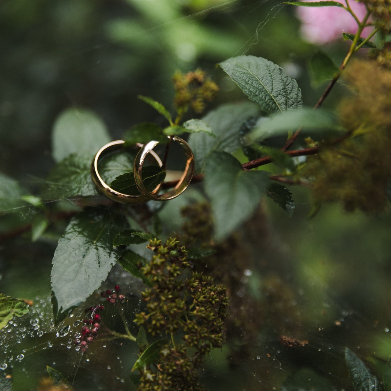 Отзывы. Женский и семейный фотограф в Туле Катя Вуколова