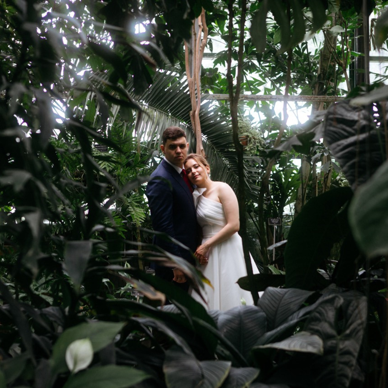 Reviews of the photographer's work. Commercial photographer | Anton Ermakov