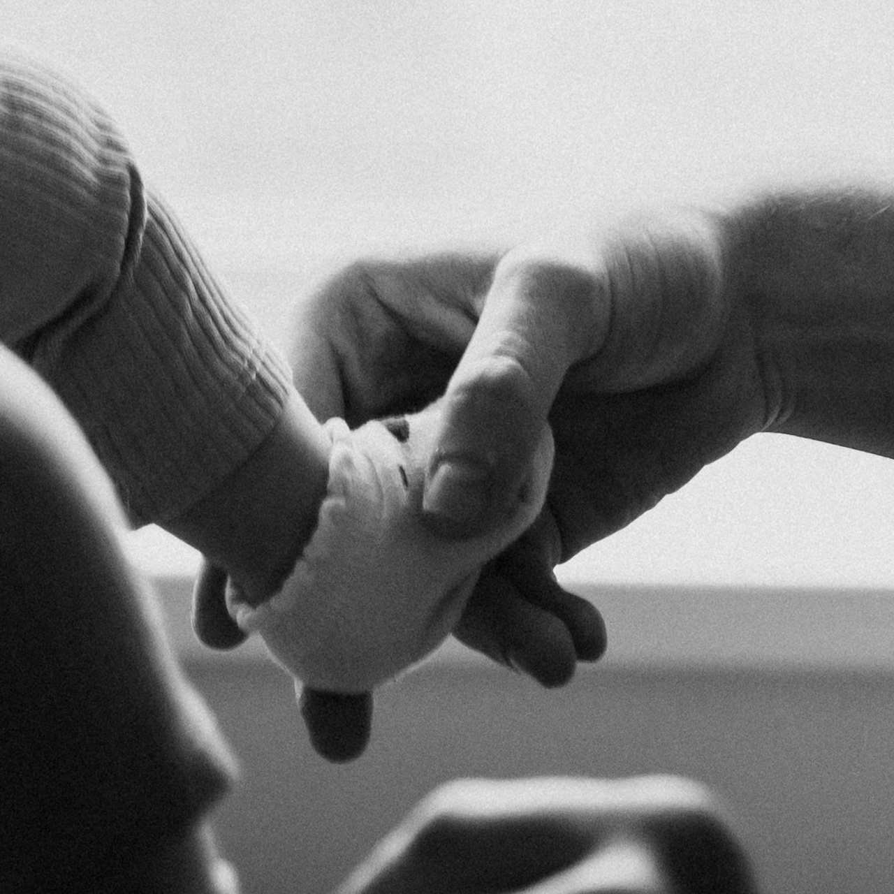 Отзывы. Семейный фотограф Москва