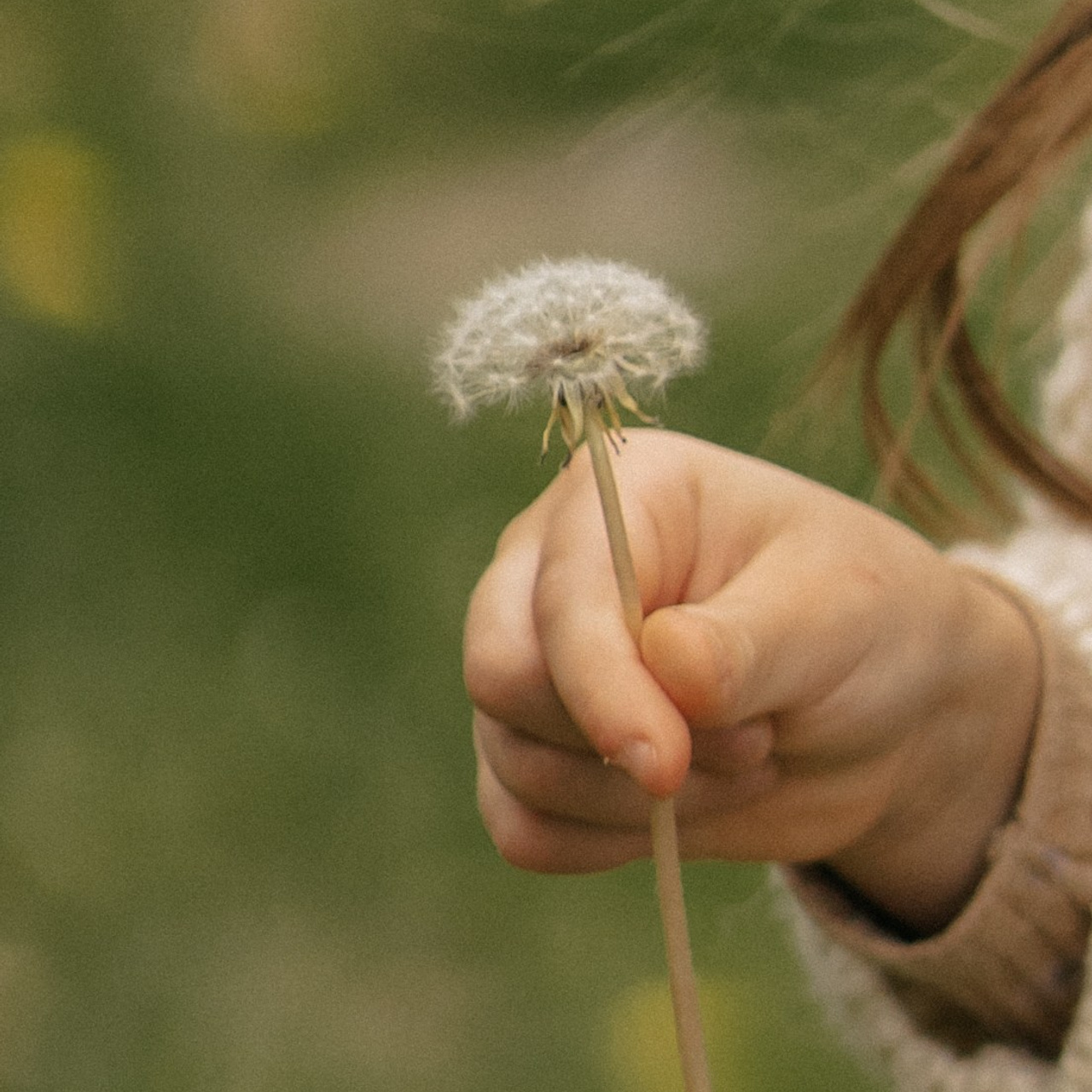 Света, Вася, Аня, Диана