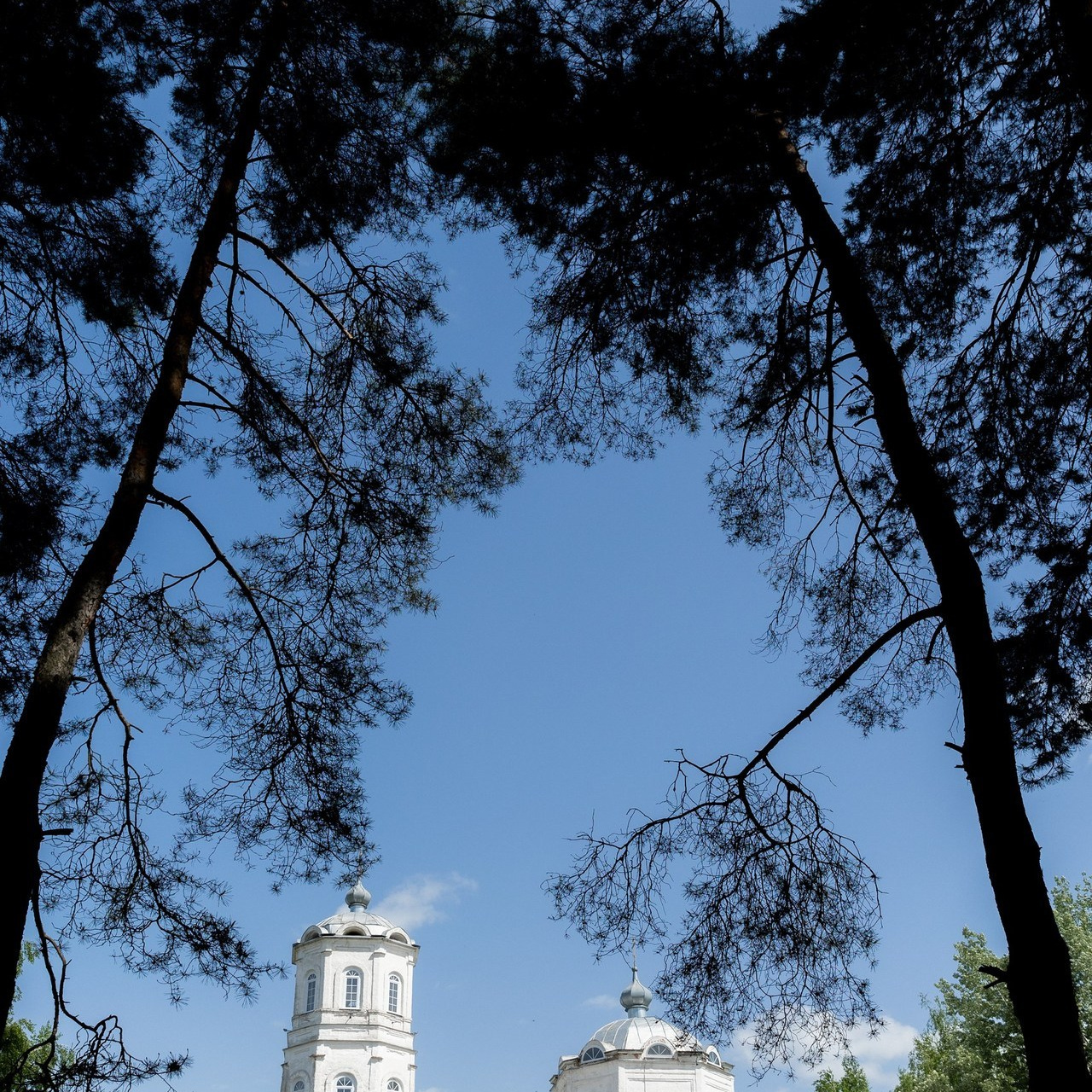 Отзывы. Фотограф Максим Никонов