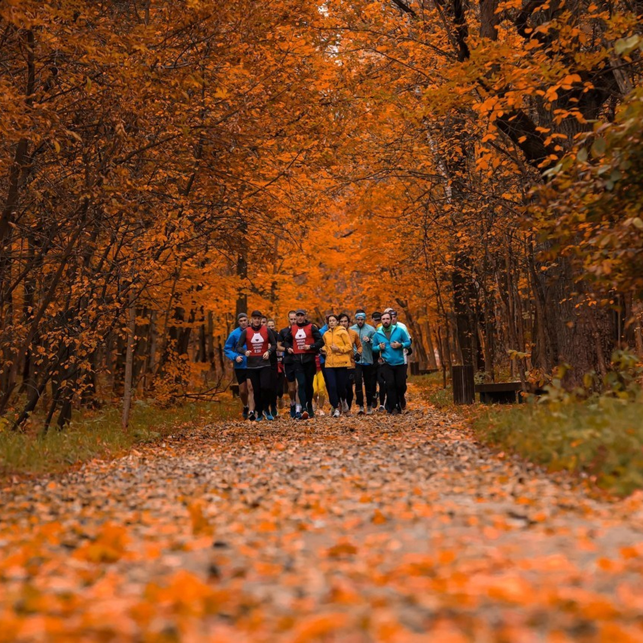 Отзывы. Фотограф в Москве Андрей Поташов «Photashov»