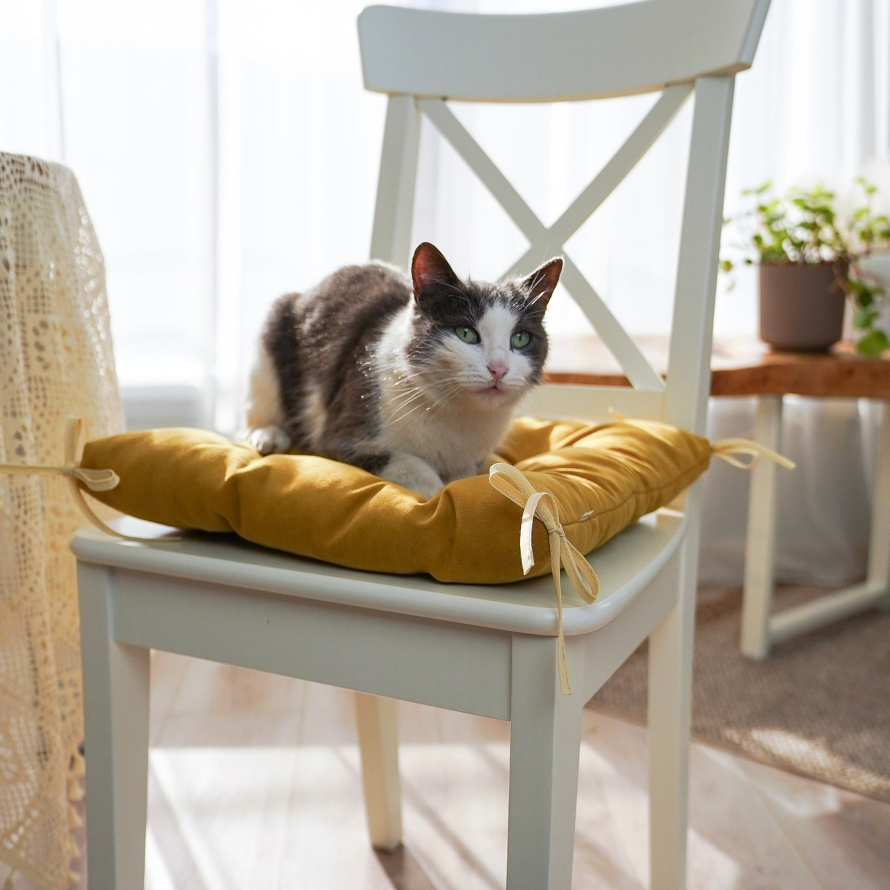 Отзывы. Фотограф Новороссийск | Геленджик и ЮФО Эльвина Ясинская