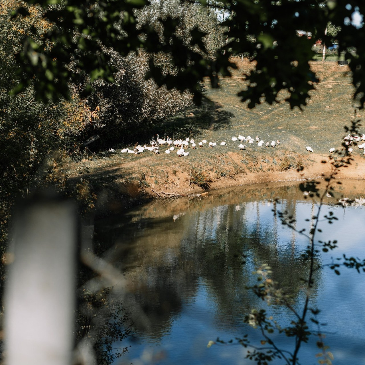 Отзывы клиентов. Анна Иванова Свадебный Фотограф Чебоксары