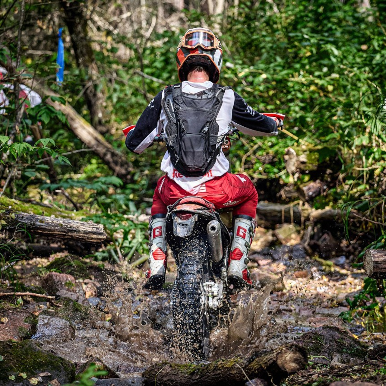 Отзывы. Фотограф Москва Concerts photo / Fashion photо