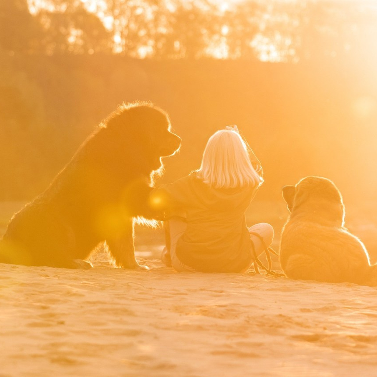 Отзывы. Фотограф — анималист в Москве и области Ольга Петракова