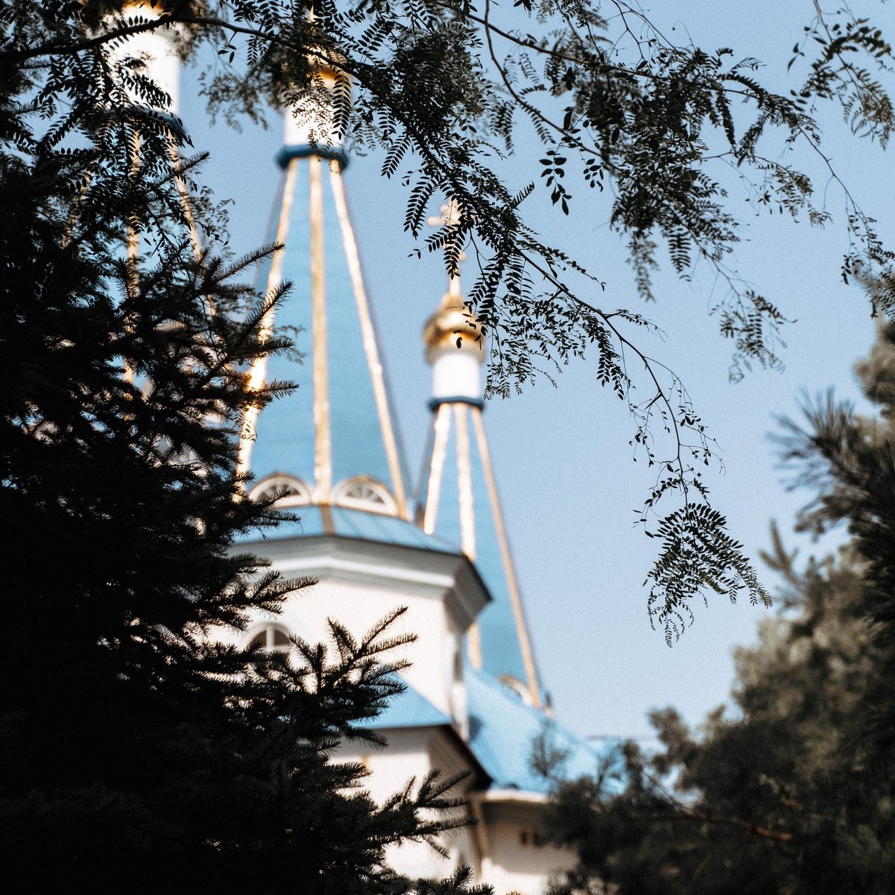 Отзывы. Семейный фотограф Новочеркасск