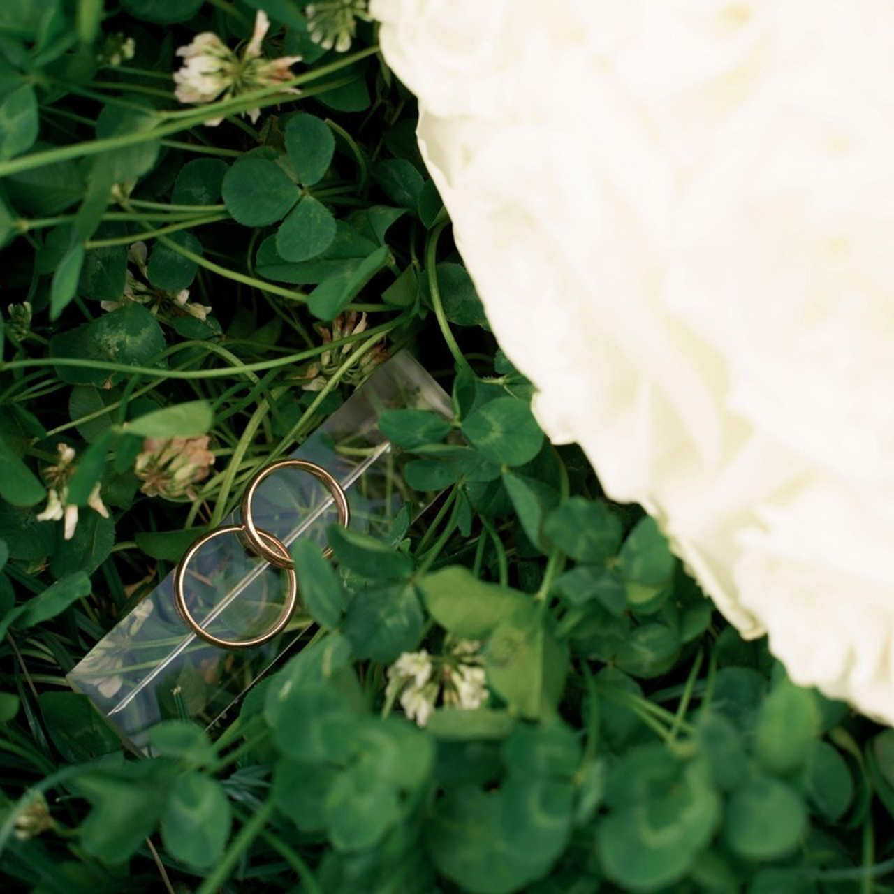 Отзывы. Семейный фотограф Новочеркасск