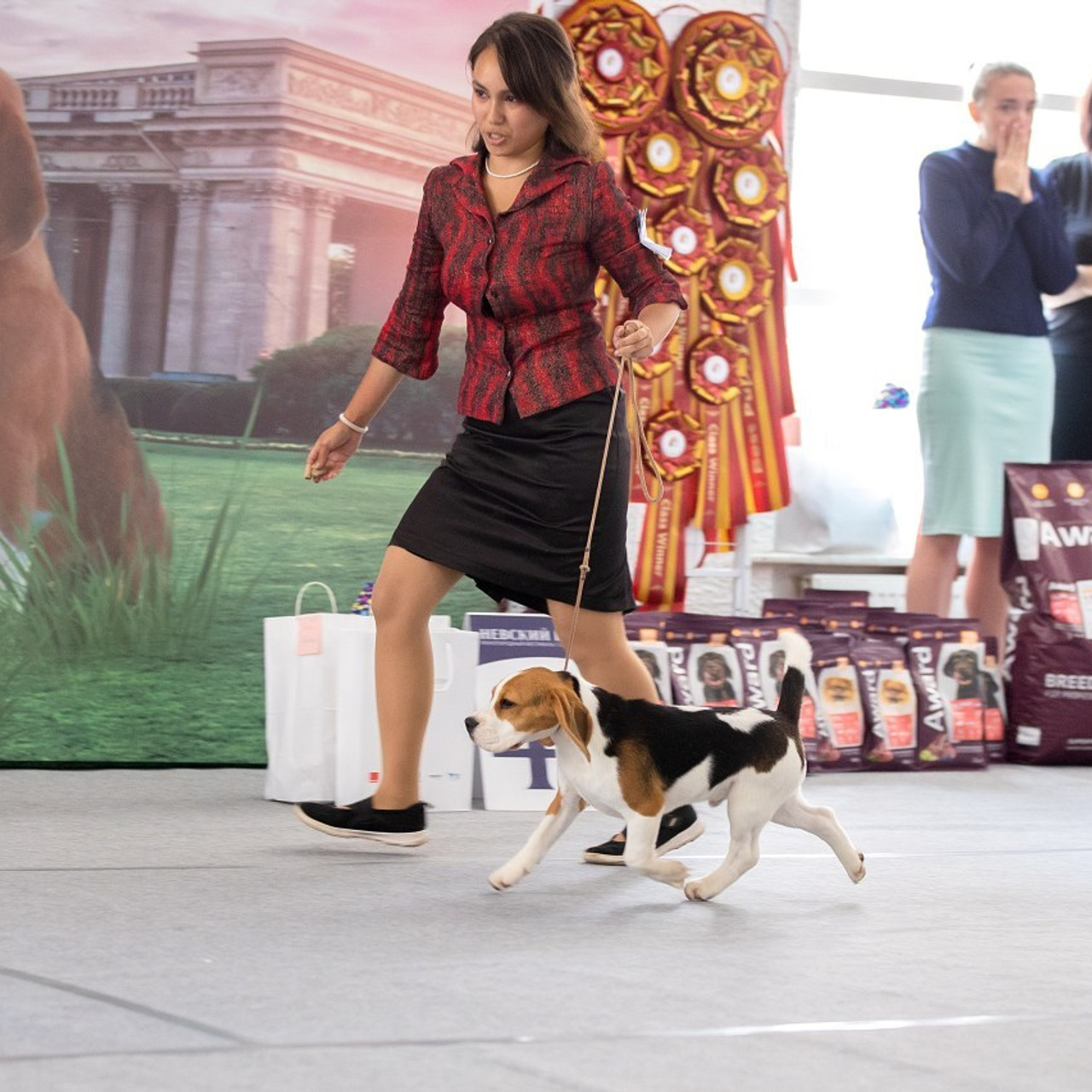 Отзывы. Фотограф анималист в Санкт-Петербурге Светлана Писарева