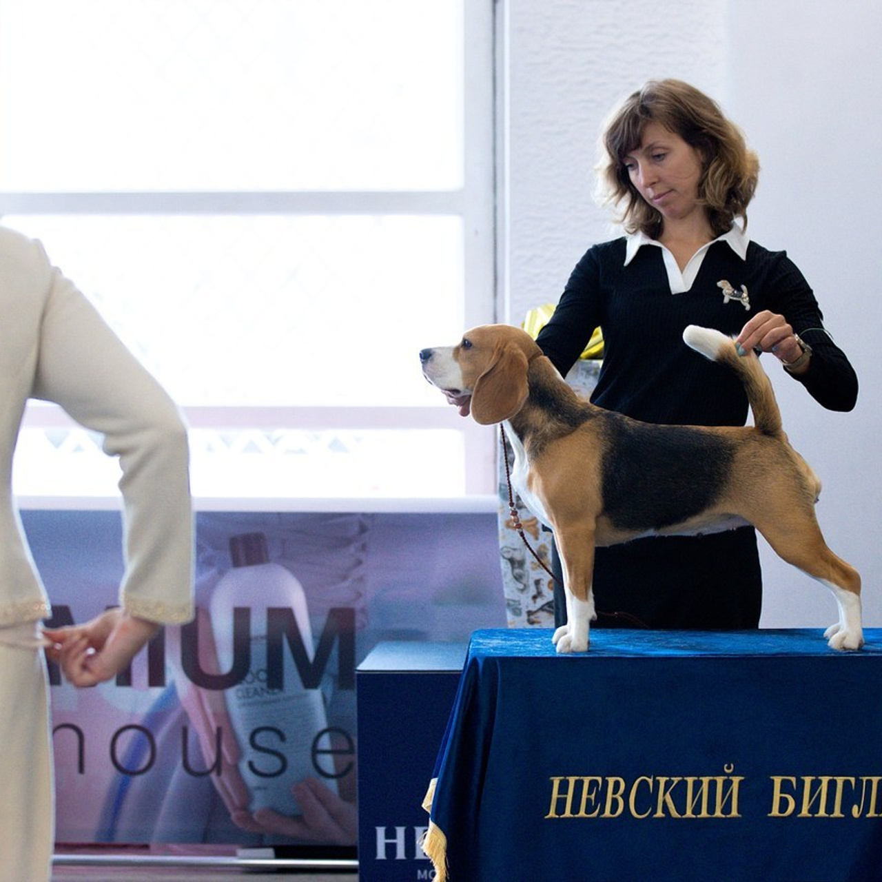 Отзывы. Фотограф анималист в Санкт-Петербурге Светлана Писарева