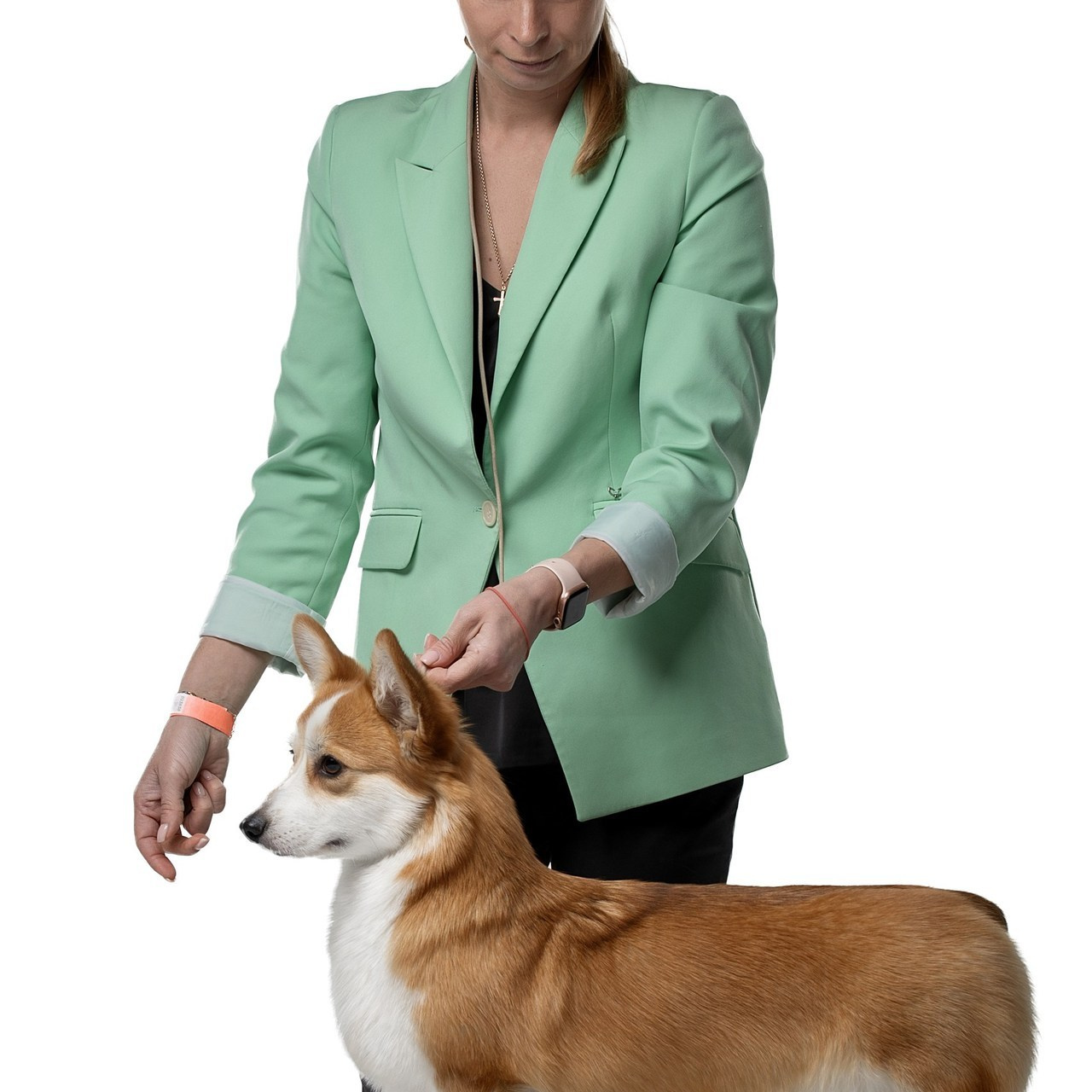 Отзывы. Фотограф анималист в Санкт-Петербурге Светлана Писарева