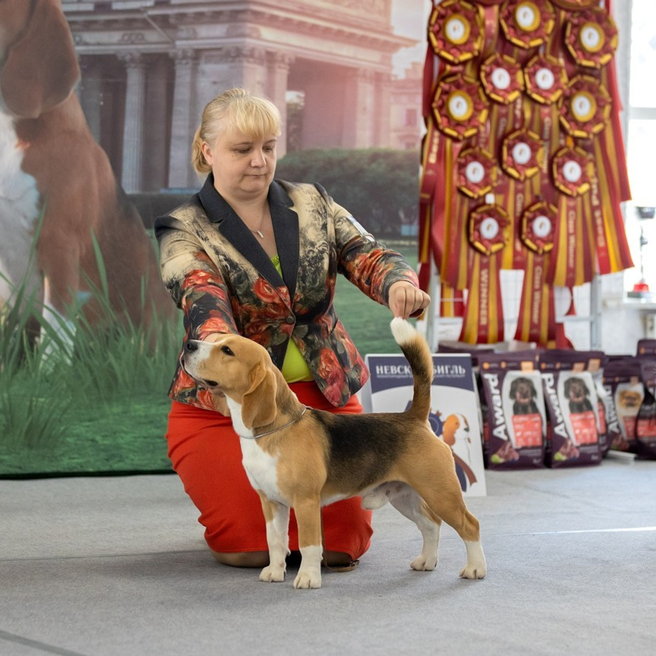 Отзывы. Фотограф анималист в Санкт-Петербурге Светлана Писарева