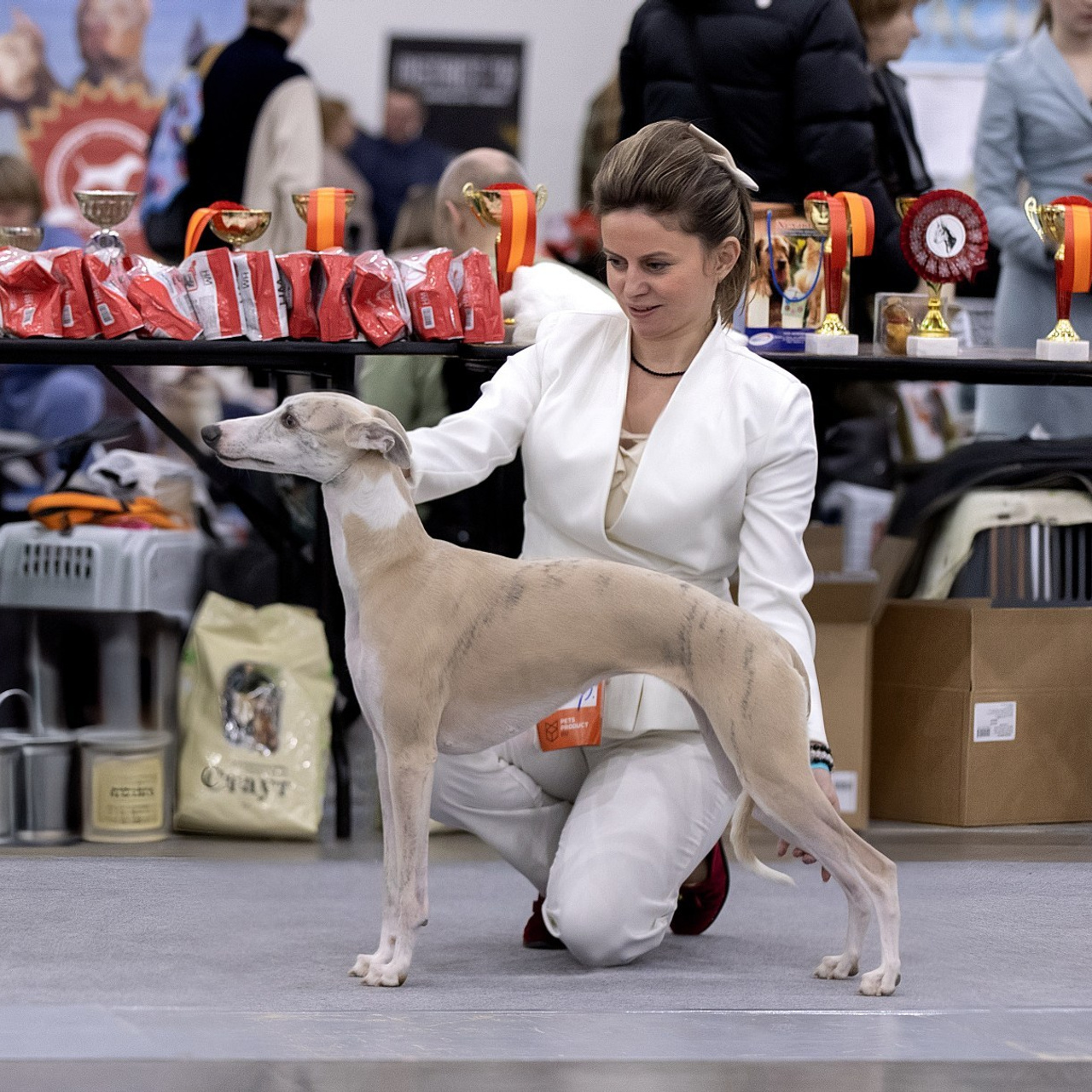 Отзывы. Фотограф анималист в Санкт-Петербурге Светлана Писарева