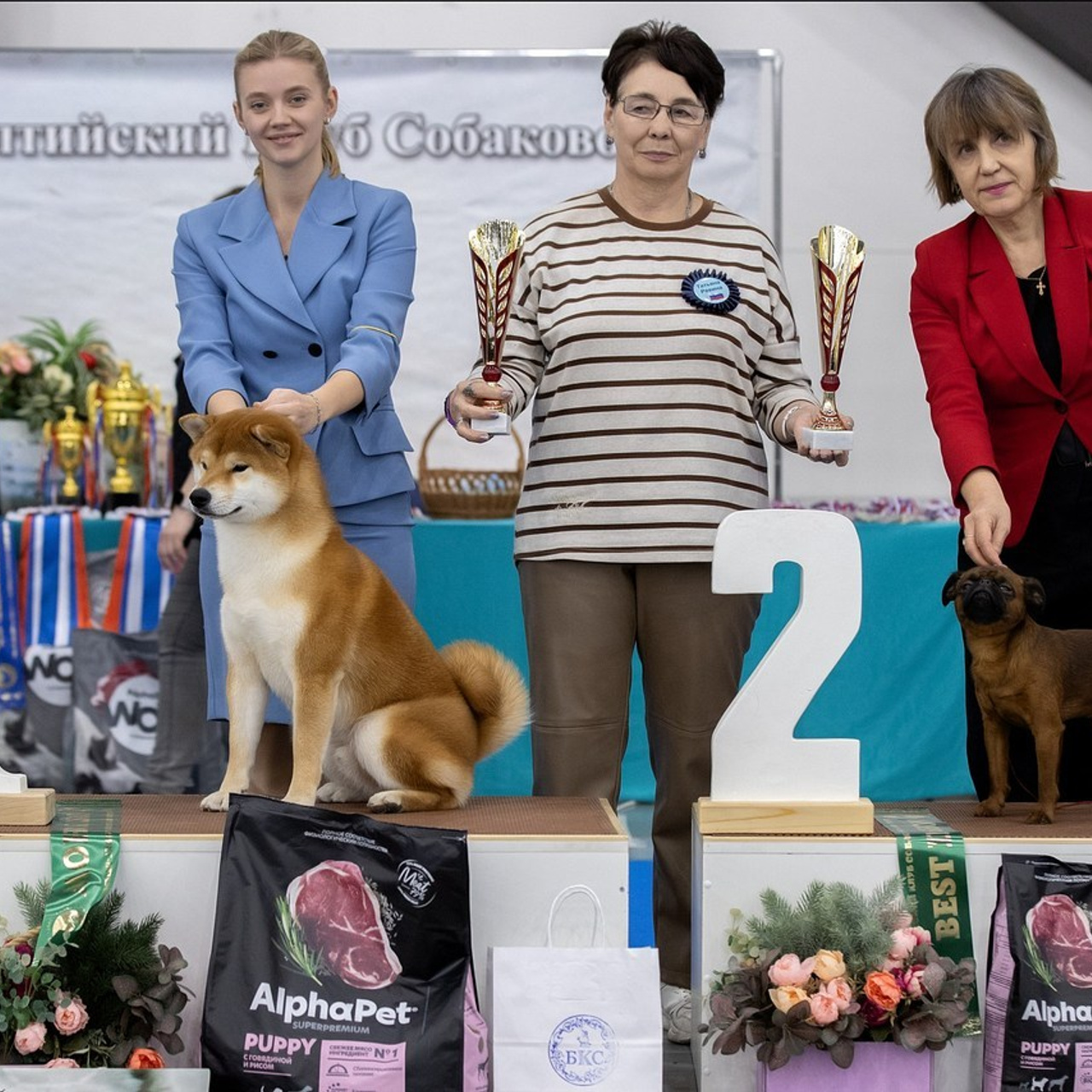 Отзывы. Фотограф анималист в Санкт-Петербурге Светлана Писарева