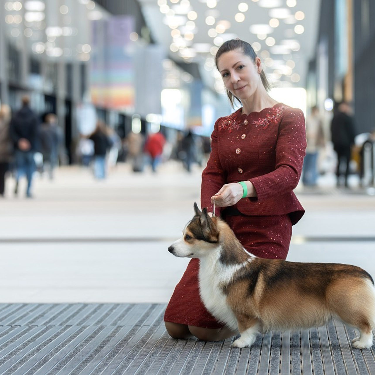 Отзывы. Фотограф анималист в Санкт-Петербурге Светлана Писарева