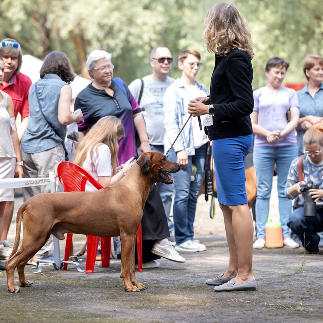 Отзывы. Фотограф анималист в Санкт-Петербурге Светлана Писарева