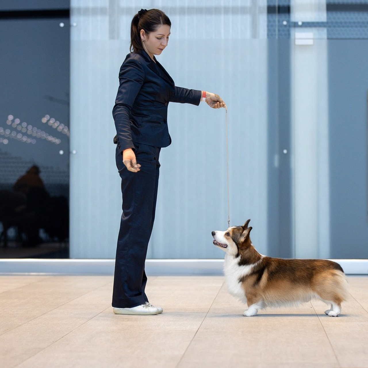 Отзывы. Фотограф анималист в Санкт-Петербурге Светлана Писарева