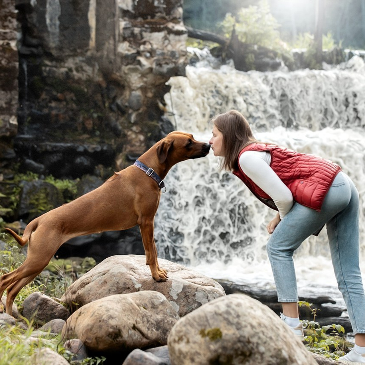 Отзывы. Фотограф анималист в Санкт-Петербурге Светлана Писарева