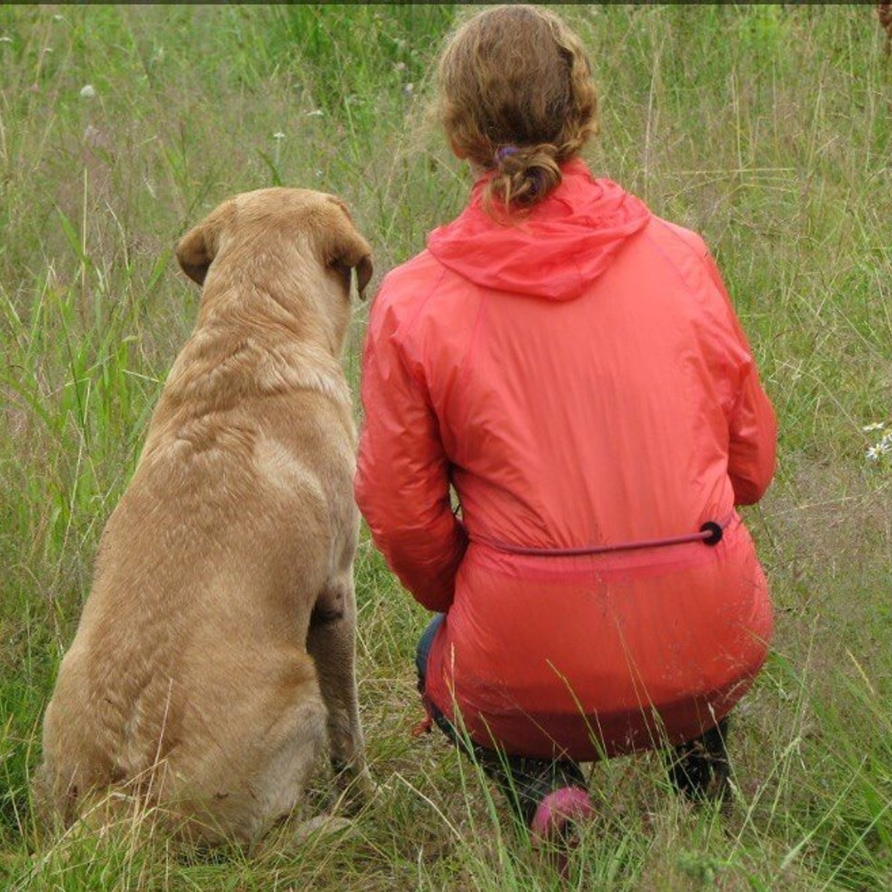 Отзывы. Фотограф анималист в Санкт-Петербурге Светлана Писарева