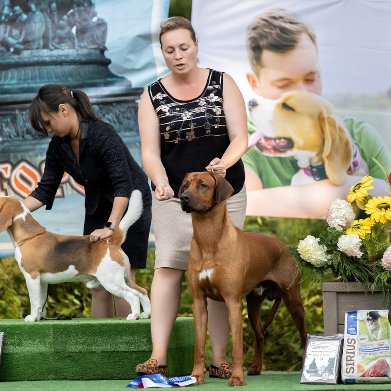 Отзывы. Фотограф анималист в Санкт-Петербурге Светлана Писарева
